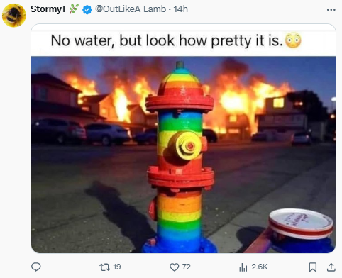 موج ناامیدی کاربران آمریکایی «ایکس» از ناکارآمدی مسئولان؛ در جهنم لسآنجلس تنها ماندیم!