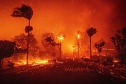 Hell in Los Angeles; Natural disaster or management inefficiency?