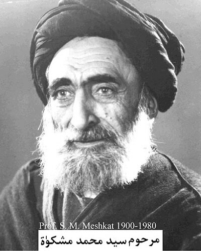 سیدمحمد مشکات و روایت یکشب تا صبح انتظارش برای نسخه خطی