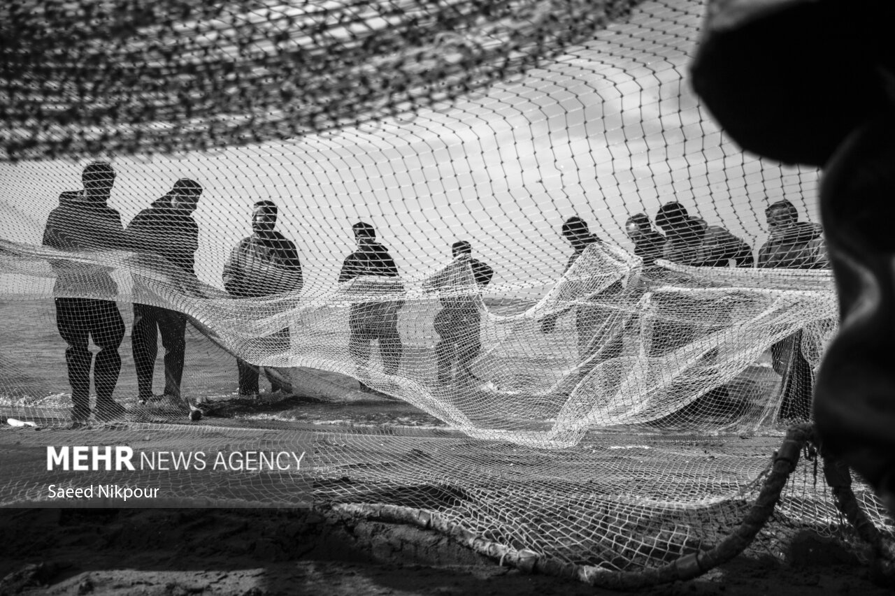 اینفوگرافیک؛ صید ۵۴۴ تن ماهی استخوانی از دریای کاسپین در گیلان اینفوگرافیک؛ صید ۵۴۴ تن ماهی استخوانی از دریای کاسپین در گیلان