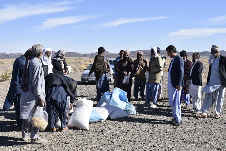 بذر پاشی ۲۱۸ هکتار از مراتع مهرستان