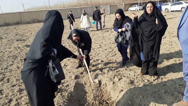 پیشگامی مازندران در ایران سبز