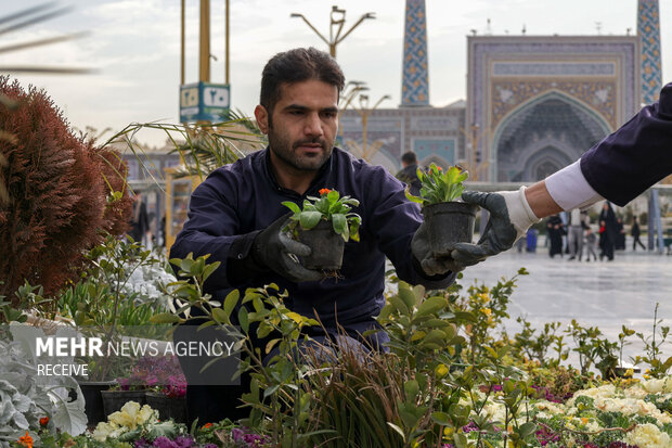 آماده سازی حرم مطهر رضوی در آستانه ولادت امیرالمومنین (ع)