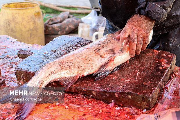 وعده ساخت روستابازارهای ملارد همچنان در ابهام؛اقدامات انجام شده چیست؟