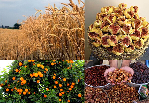 با هم برای فردا؛ نقش مردم در احیای تولید ملی با هم برای فردا؛ نقش مردم در احیای تولید ملی