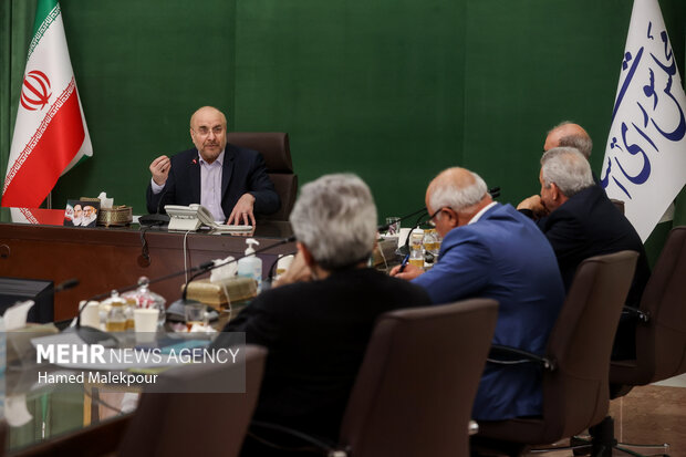 دیدار اعضای دو کانون بازنشستگی کارگری با رئیس مجلس 9