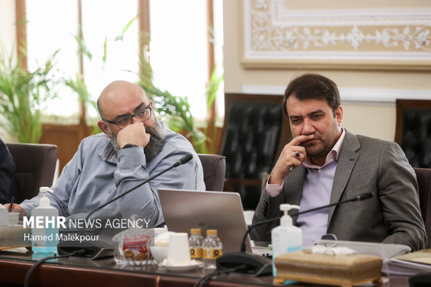 دیدار وزیر و معاونان وزارت ورزش و جوانان با رئیس مجلس 25