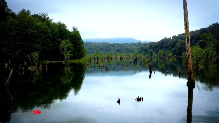 دریاچهای در ایران به نام ارواح و سکوت وهم انگیزش+ فیلم و عکس