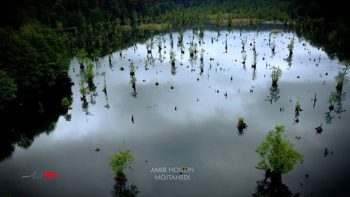 دریاچهای در ایران به نام ارواح و سکوت وهم انگیزش+ فیلم و عکس