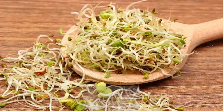 گیاهی که جایگزین قرصهای ویتامین است