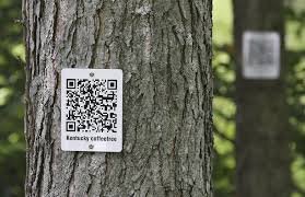 پروژه سرشماری و ممیزی گونههای گیاهی و پلاککوبی درختان در گلپایگان آغاز شد