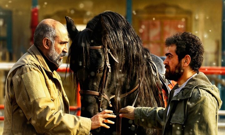 معرفی فیلمهای «فجر ۴۳»؛ از نازایی زنان و فساد در فوتبال تا ماجرای دلهدزدی از امامزاده