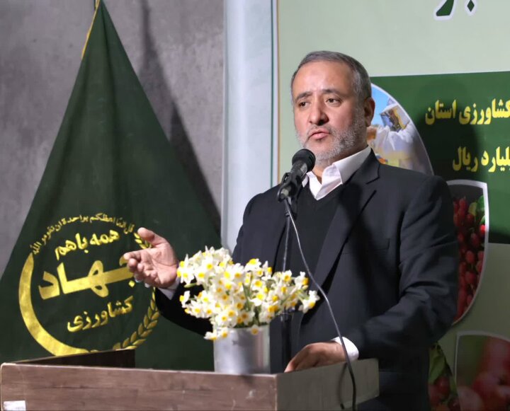 مساحت گلخانههای خراسان جنوبی ۲۰۰ هکتار افزایش یابد