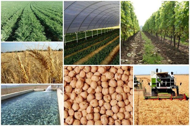 شورای اتخاذ سیاستهای حمایتی بخش کشاورزی تشکیل میشود شورای اتخاذ سیاستهای حمایتی بخش کشاورزی تشکیل میشود