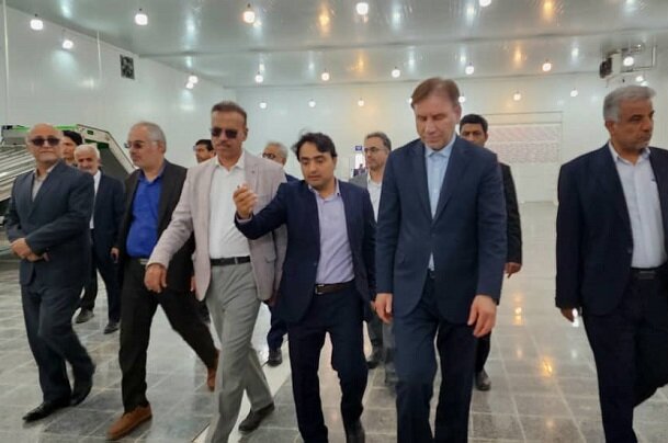 سرمایهگذاری در صنایع مرتبط با آبزیان در استان بوشهر حمایت میشود سرمایهگذاری در صنایع مرتبط با آبزیان در استان بوشهر حمایت میشود