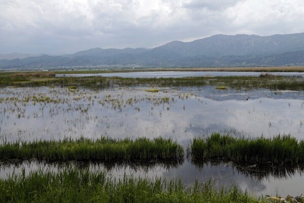 ۱.۵ میلیون هکتار از تالابهای کشور در معرض گرد و غبار قرار دارد