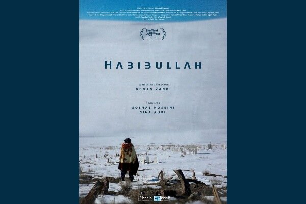 «حبیب الله» در جشنواره بینالمللی وزول فرانسه