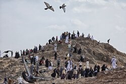 کاروان حج عمره دانشجویی در مدینه منوره