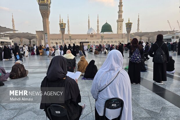 آغاز ثبت نام عمره دانشجویی از امروز؛ رایزنی برای ارائه وام 50 میلیونی