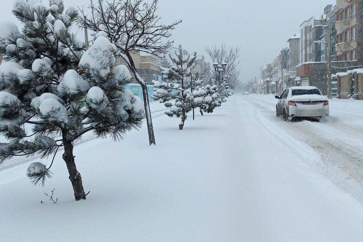 استان،برف،سامانه،دليل،بارشي،مرادي،بارش،سرد