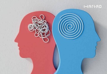 ارائه خدمات مشاوره‌ای و اجتماعی به آسیب‌دیدگان حادثه بندر شهید رجایی