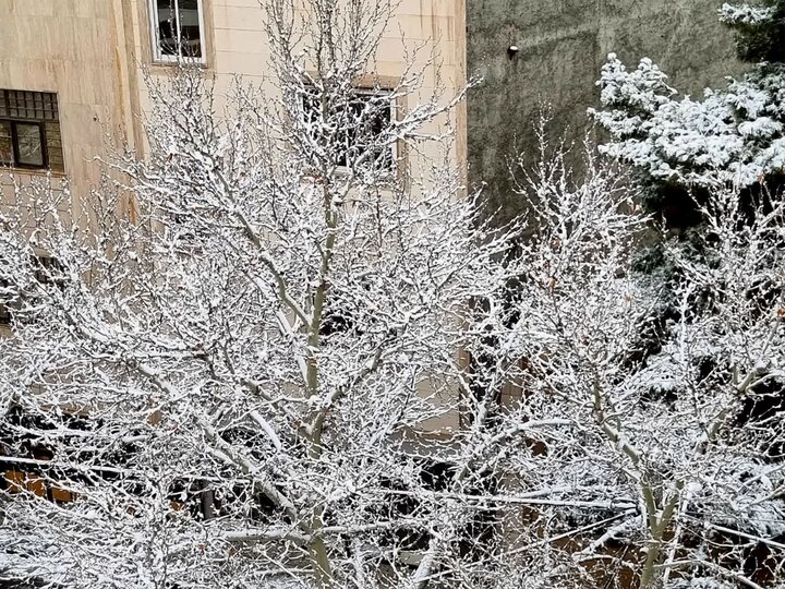 Meşhed'de kar yağışı kenti beyaza bürüdü Meşhed'de kar yağışı kenti beyaza bürüdü