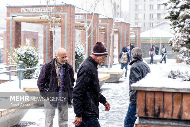 Snowfall in Tehran