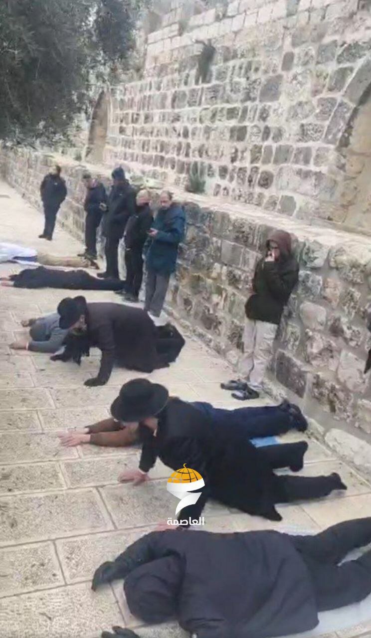 تعرض شهرک نشینان صهیونیست به مسجدالاقصی و اجرای مناسک تحریکآمیز تلمودی