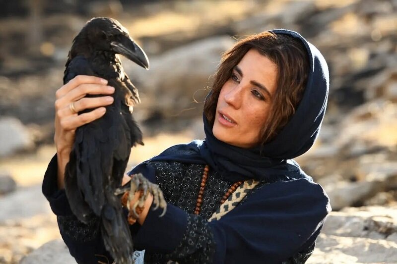 بررسی سه فیلم شاخص محیطزیستی حاضر در جشنواره فیلم فجر