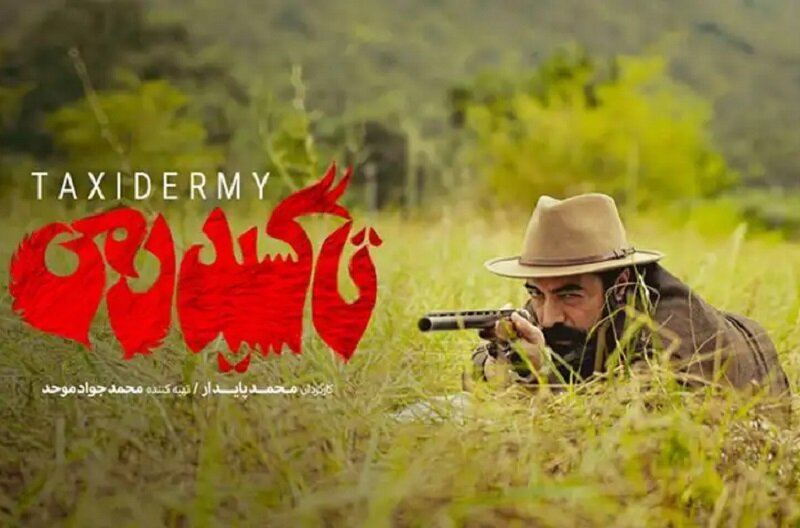 بررسی سه فیلم شاخص محیطزیستی حاضر در جشنواره فیلم فجر