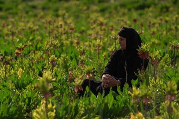 یک جایزه و یک حضور بین‌المللی برای «مرثیه‌ای برای ایل»