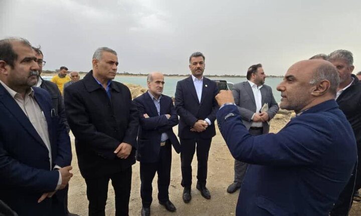 تسهیلگری در کمک به پرورشدهندگان میگو ضرورت دارد