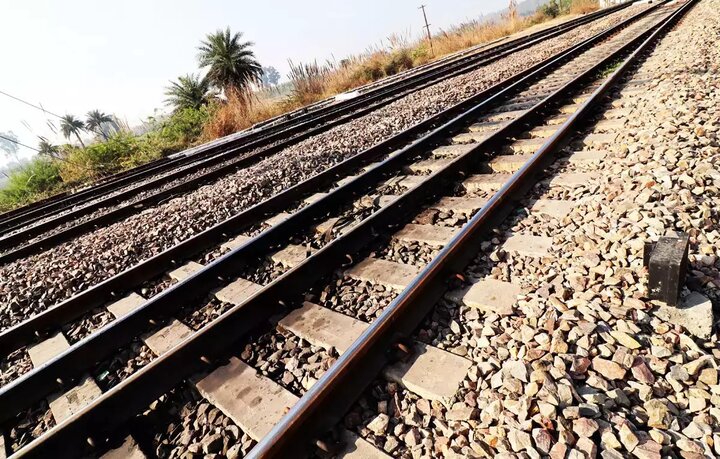 تلف شدن یک پلنگ در برخورد با قطار در فیروزکوه