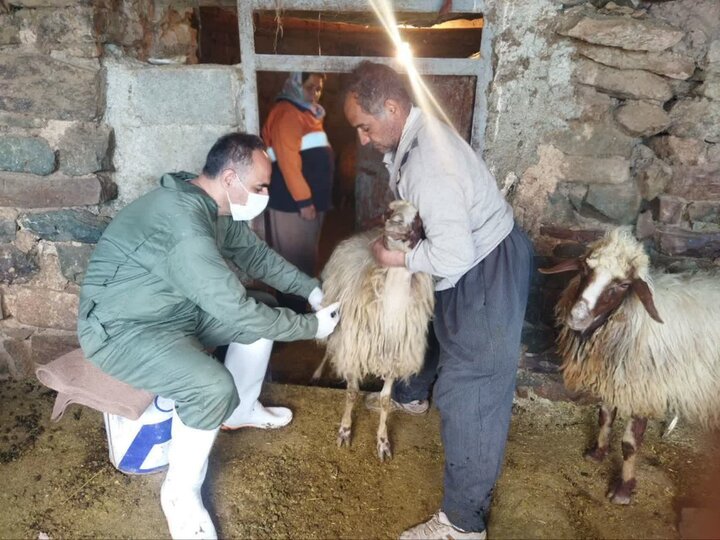 ۵۷ مرکز عرضه فرآورده خام دامی در سنندج بازرسی شدند ۵۷ مرکز عرضه فرآورده خام دامی در سنندج بازرسی شدند