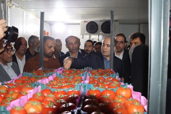 حمایت از گلخانهداران در دستور کار است