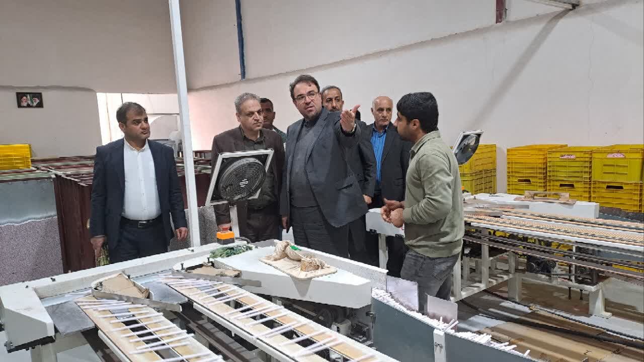 واحدهای صنعتی در شهرستان گناوه حمایت میشوند