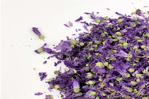 خواص شگفتانگیز پنیرک؛ گیاه دارویی با قدمت هزار ساله خواص شگفتانگیز پنیرک؛ گیاه دارویی با قدمت هزار ساله