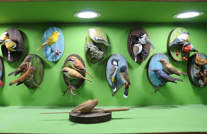 دبیرخانه ملی پرنده نگری با هدف توسعه زیستگاهها ایجاد شد