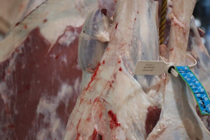 جریمه میلیاردی برای گرانفروشی گوشت در تهران