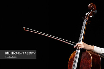 «ماوای عاشقی» و «نارون» در قالب ۲ اثر مجزا شنیدنی شدند