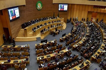 Hamas praises African leaders stance against Gaza onslaught