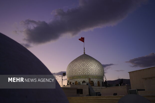 منابعی تاریخی که به وجود حضرت رقیه (س) و اتفاقات شام اشاره دارد