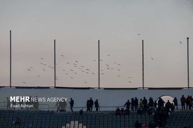 لیگ نخبگان آسیا - پرسپولیس و النصر عربستان