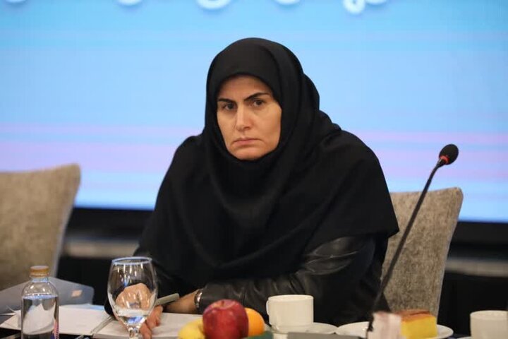 مرادخانی: گردشگری ظرفیت مغفول استان زنجان در تعاملات منطقهای است مرادخانی: گردشگری ظرفیت مغفول استان زنجان در تعاملات منطقهای است