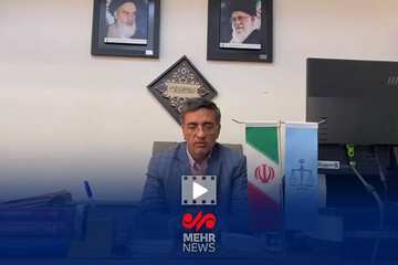 قاضی شهریاری: متهمان قتل دانشجوی دانشگاه تهران سوابق متعددی داشتند