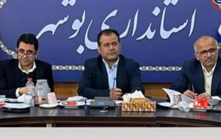 تسهیلات ویژه به پروژههای اقتصادی استان بوشهر پرداخت میشود