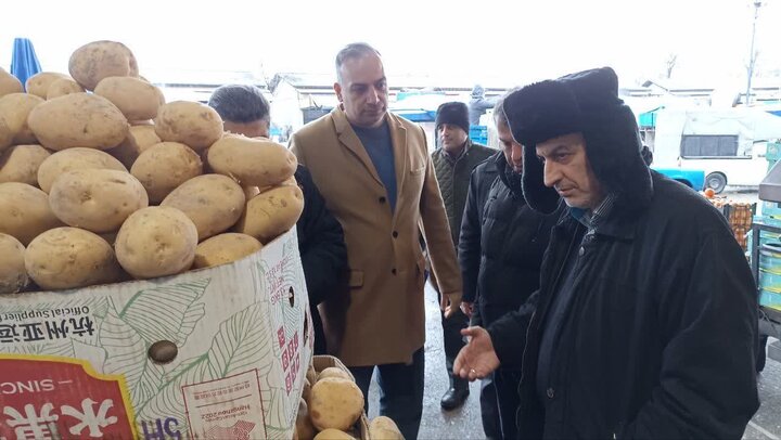 ۵۰۰ تن سیب زمینی جهت تعادل بازار به گیلان وارد شد