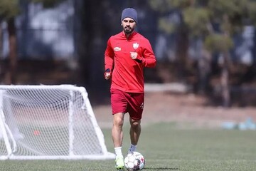 Omid Alishah to remain at Persepolis