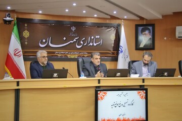 همکاری واحدهای صنعتی از قطع برق خانگی در استان سمنان ممانعت کرد