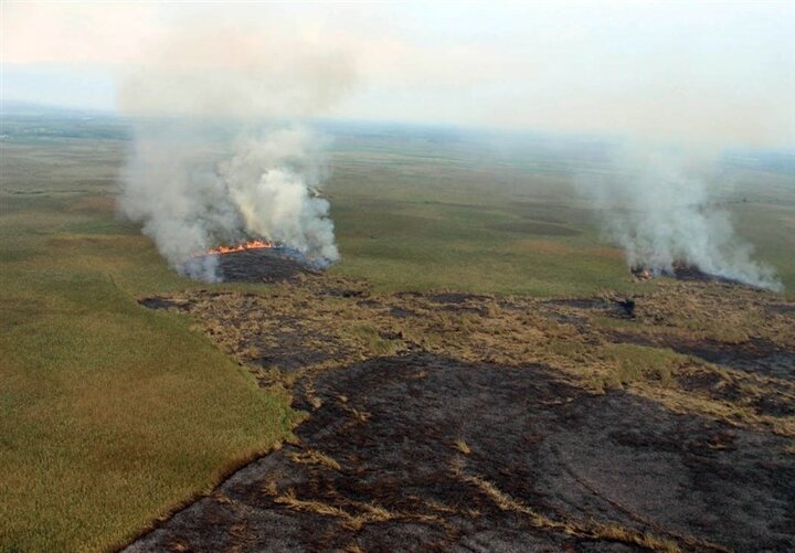 آتش در تالاب بینالمللی گندمان مهار شد